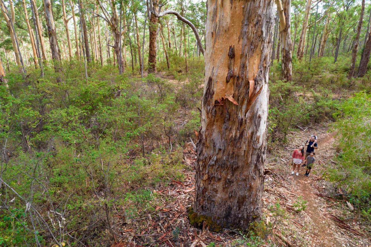 Rac Margaret River Nature Park Exterior photo